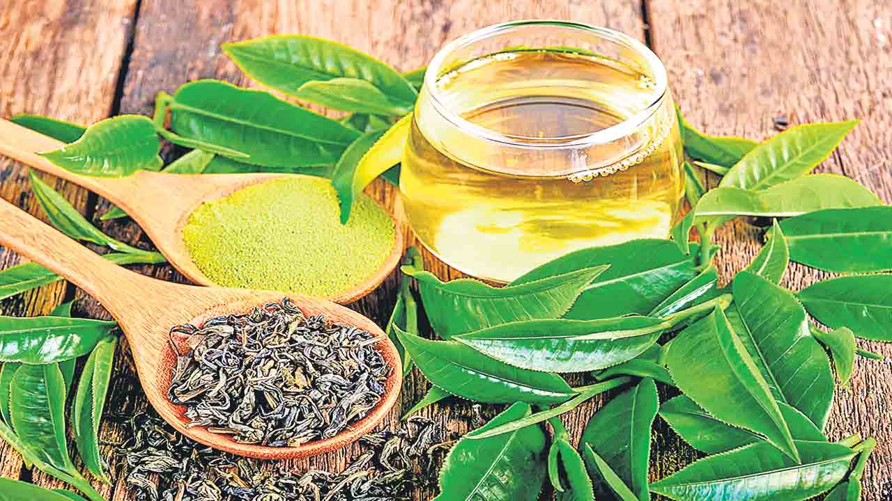 గ్రీన్‌ టీ సారంతో కాలేయానికి ముప్పు!