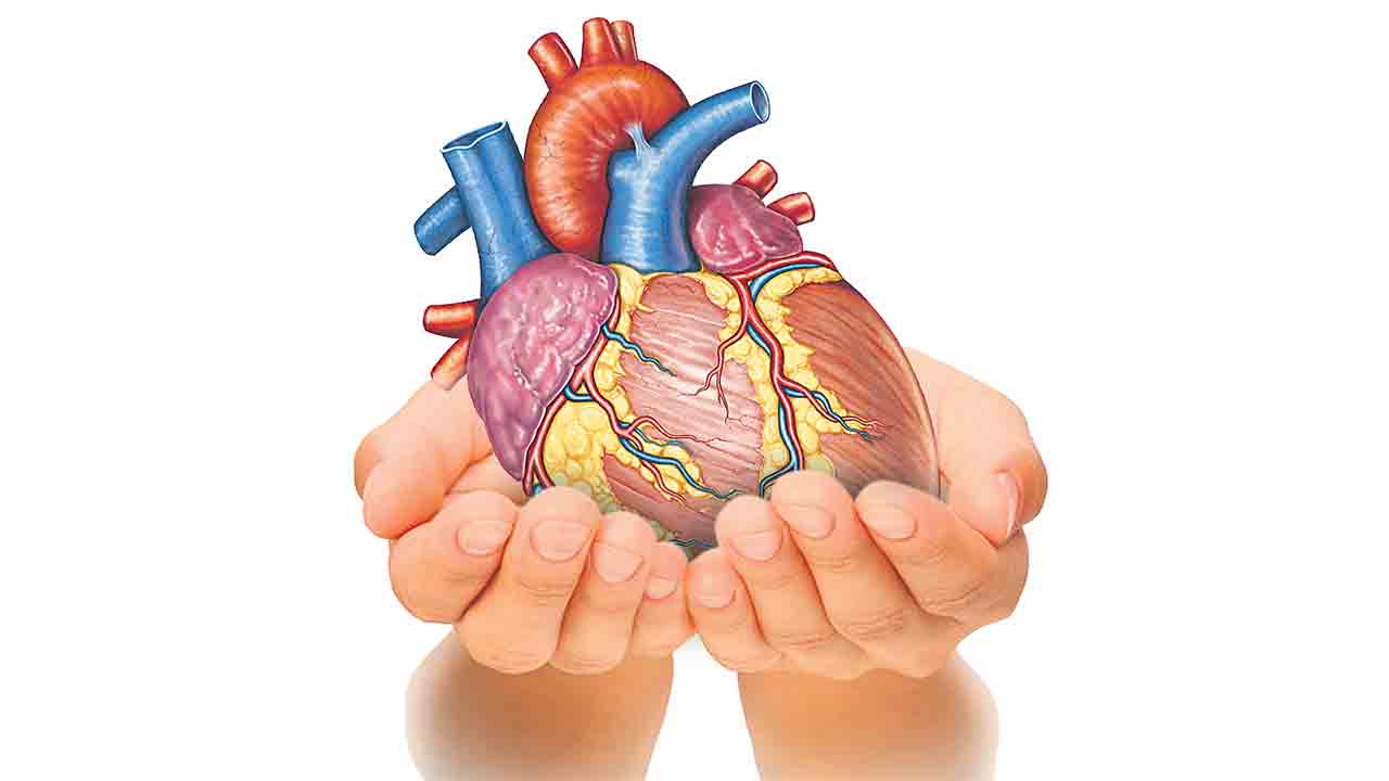 ప్రభుత్వ దవాఖానలో గుండెకు భద్రత