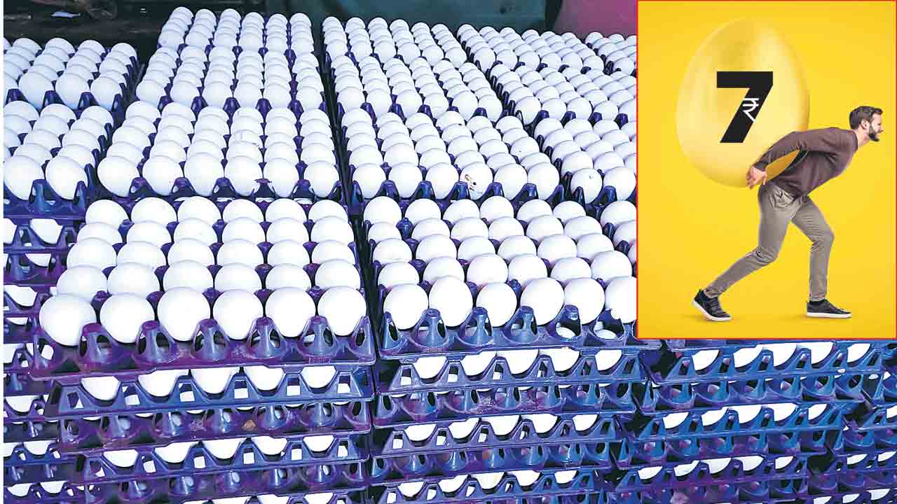 ‘గుడ్లు’ తేలేసేలా.. కొండెక్కిన కోడిగుడ్ల ధరలు