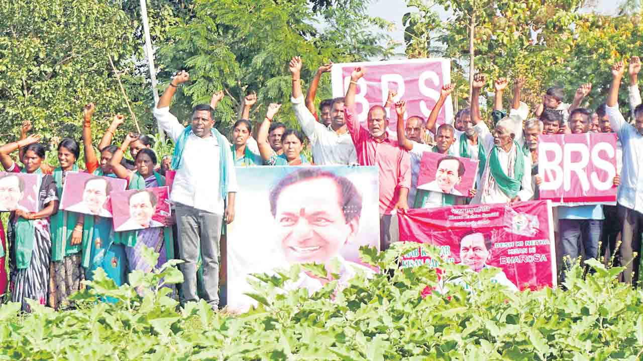 బంధువొచ్చె.. ఆనందం తెచ్చె..