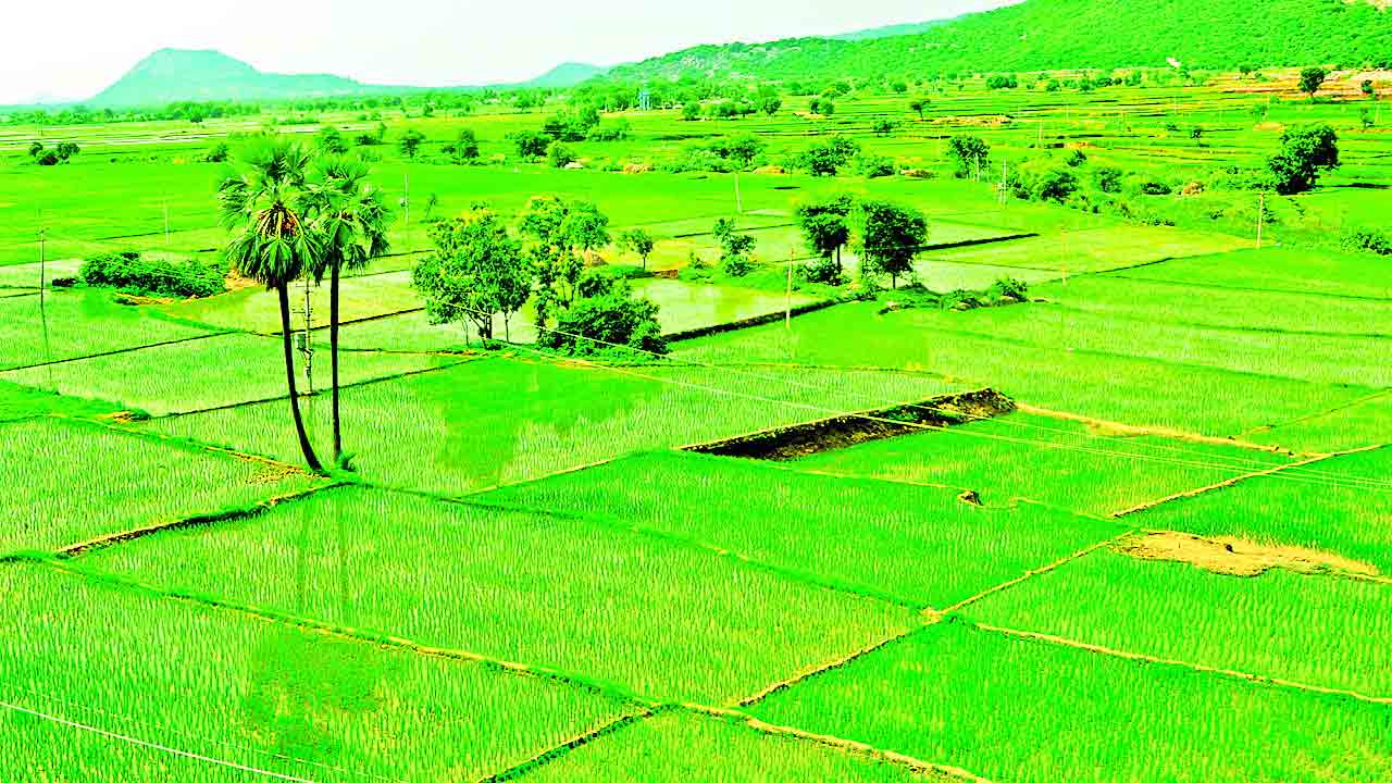 సులువైన విధానం.. అధిక ఆదాయం