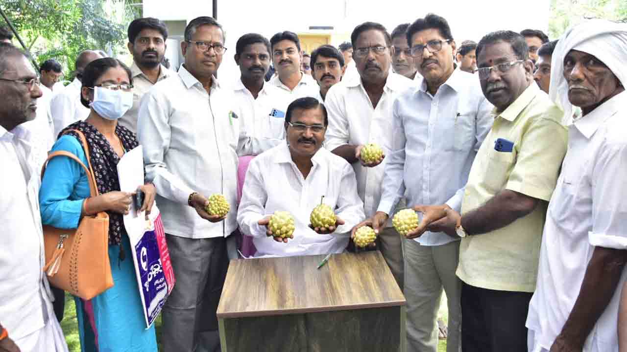 లాభసాటి వ్యవసాయం వైపు దృష్టి సారించాలి : మంత్రి నిరంజ‌న్ రెడ్డి