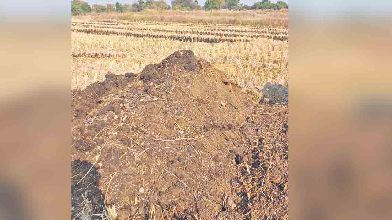 పశువుల ఎరువుకు ఫుల్ డిమాండ్