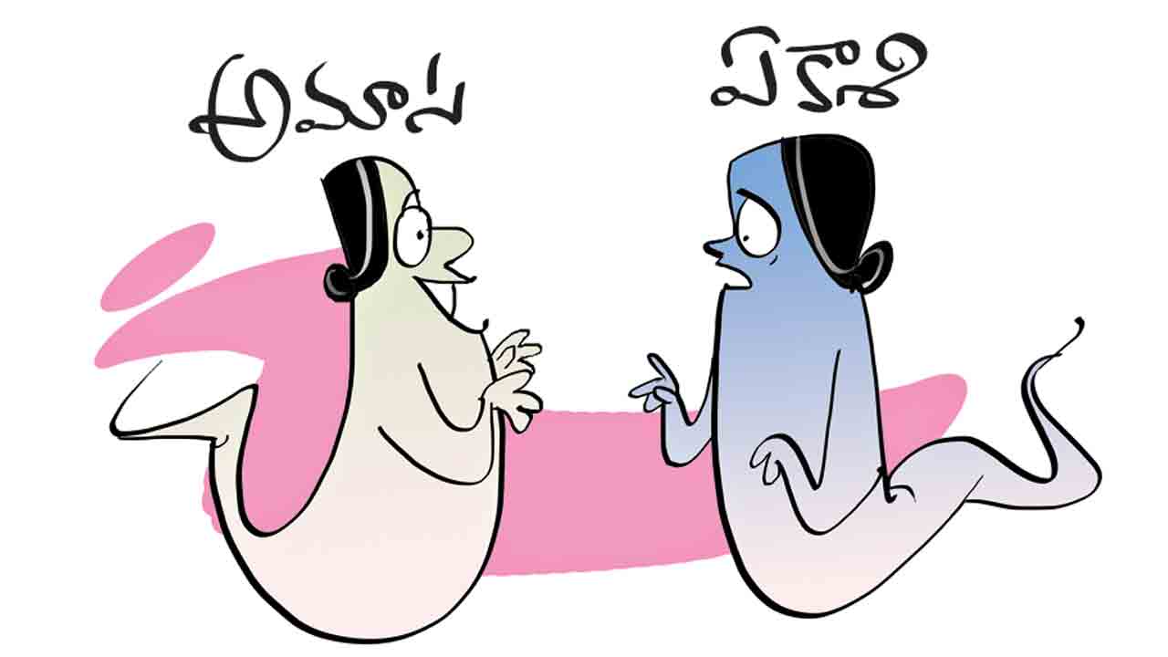 అన్నీ తెలిసినమ్మ అమాసనాడు పోతే..