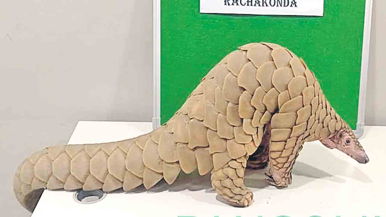 అరుదైన వన్యప్రాణి అలుగును కాపాడిన పోలీసులు