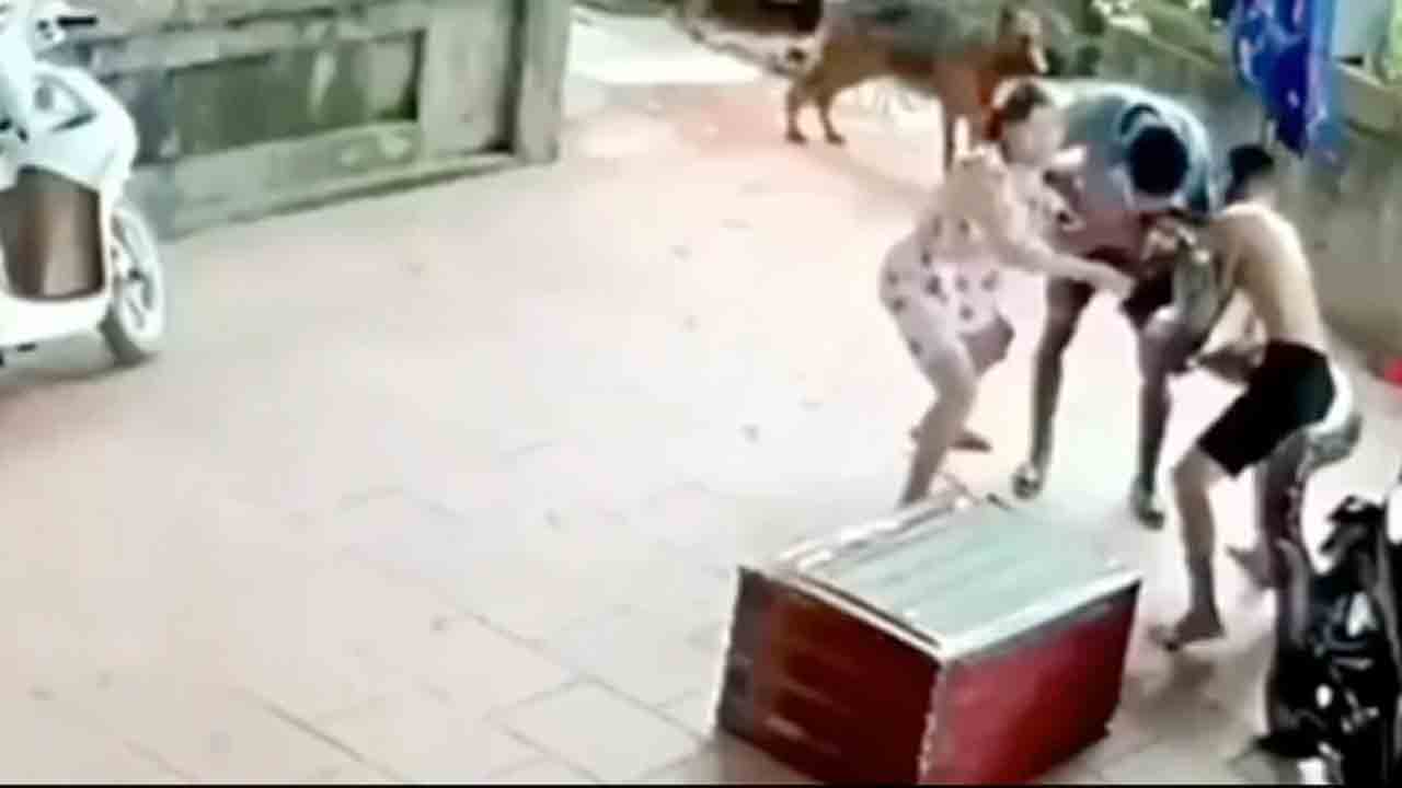 Viral Video | య‌జ‌మాని ముఖాన్ని పీక్కుతిన్న కొండ‌చిలువ‌