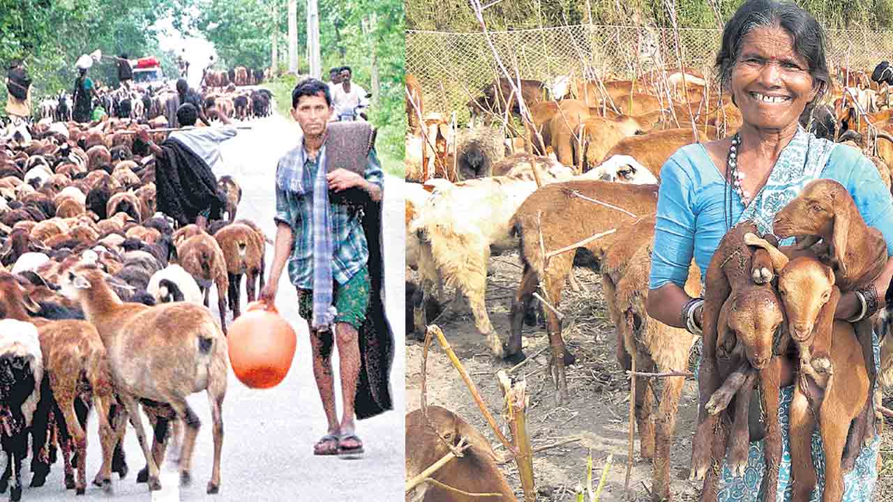 గొల్లకురుమల ఇంట.. కాసుల పంట