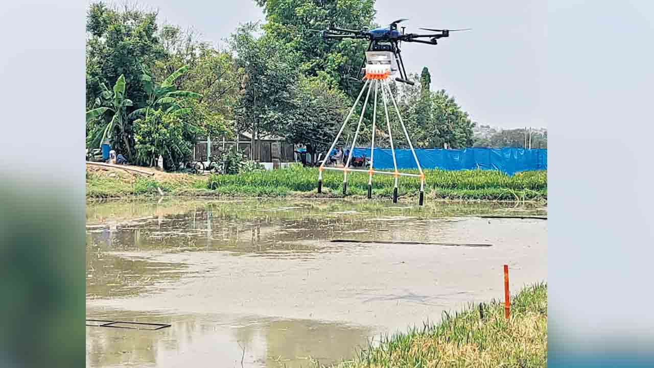 డ్రోన్‌తో వరి నాట్లు.. వ్యవసాయ వర్సిటీలో ప్రయోగాలు