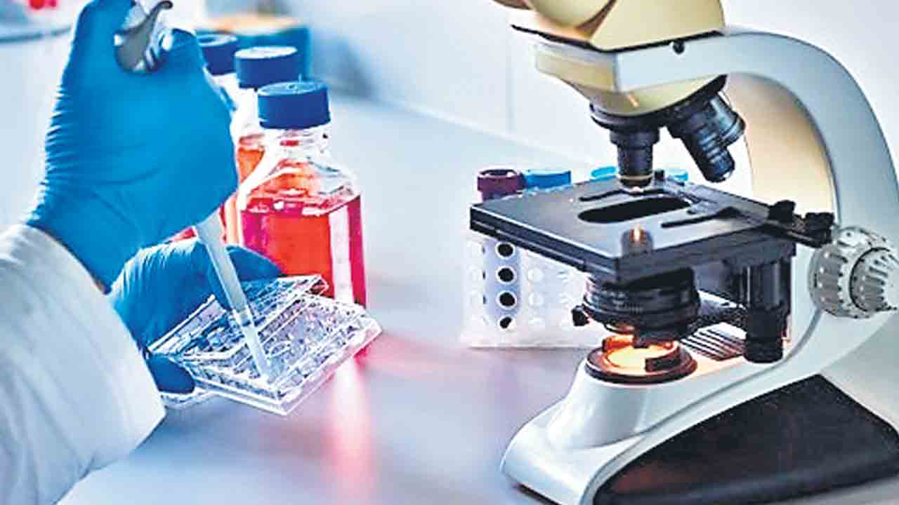 మూత్రపరీక్షతో కాలేయ క్యాన్సర్‌ గుర్తింపు