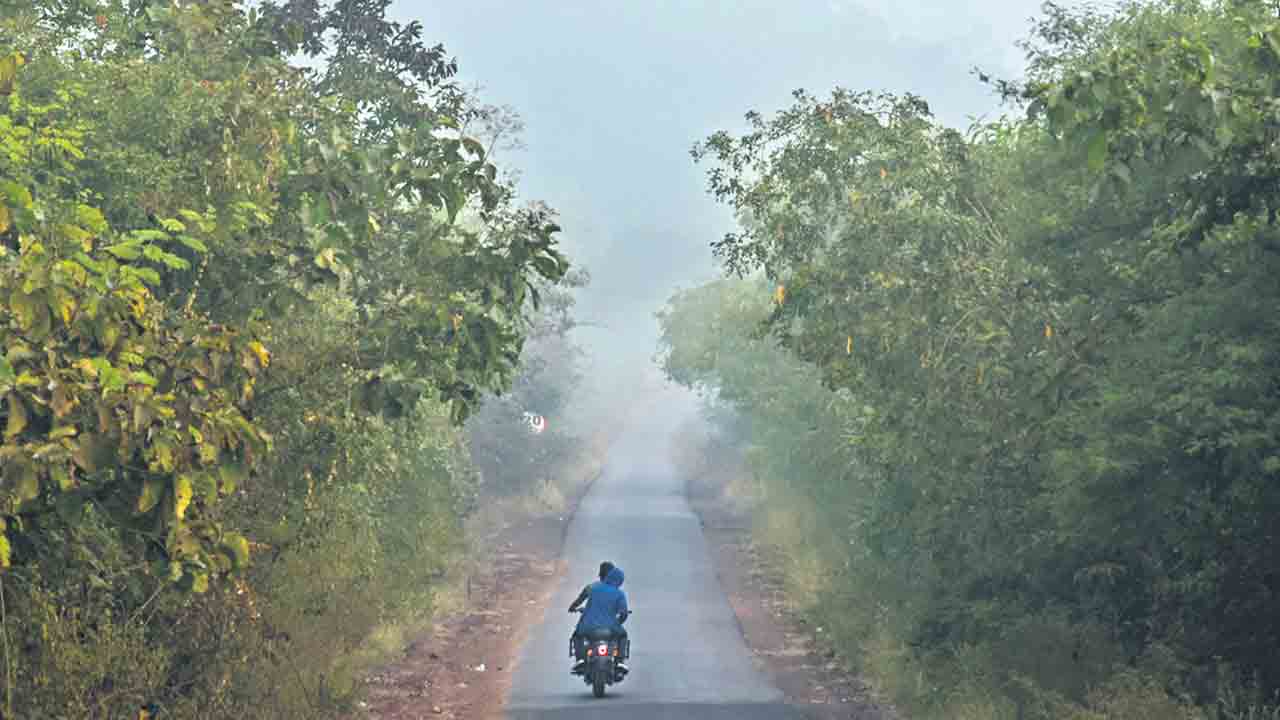 కనుచూపు మేర.. మంచు తెర