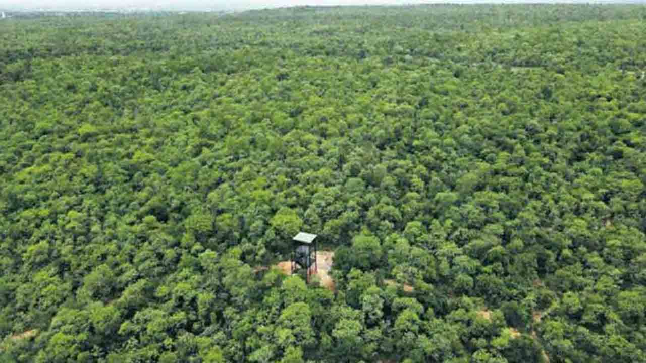 అట‌వీ విస్తీర్ణంలో తెలంగాణ‌కు రెండోస్థానం.. కేంద్రం వెల్ల‌డి