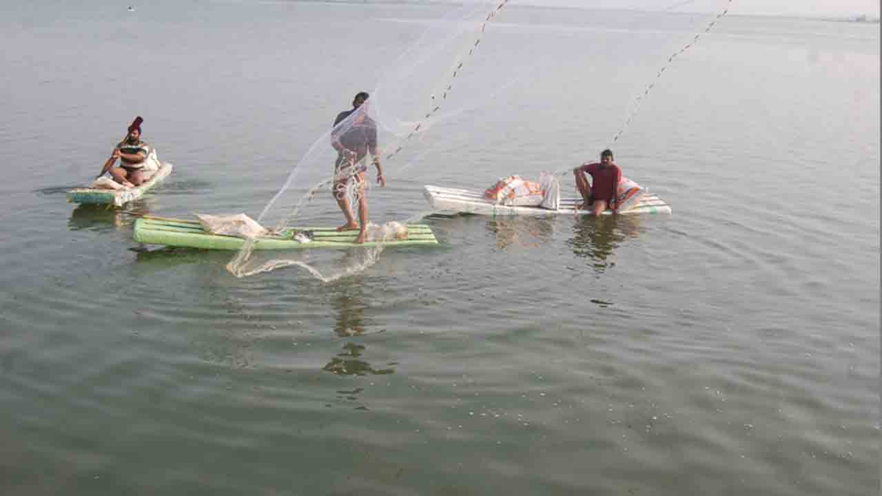 చెరువుల్లో చేపల పంట