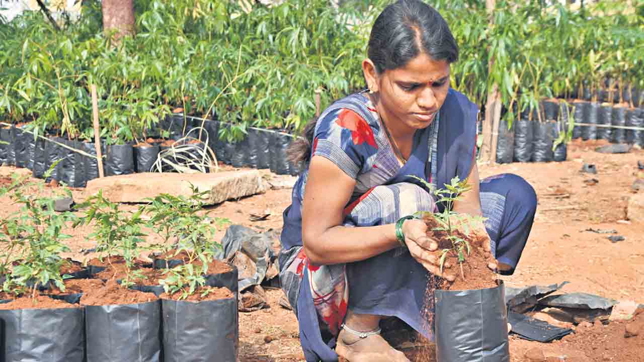 హరిత సన్నద్ధం