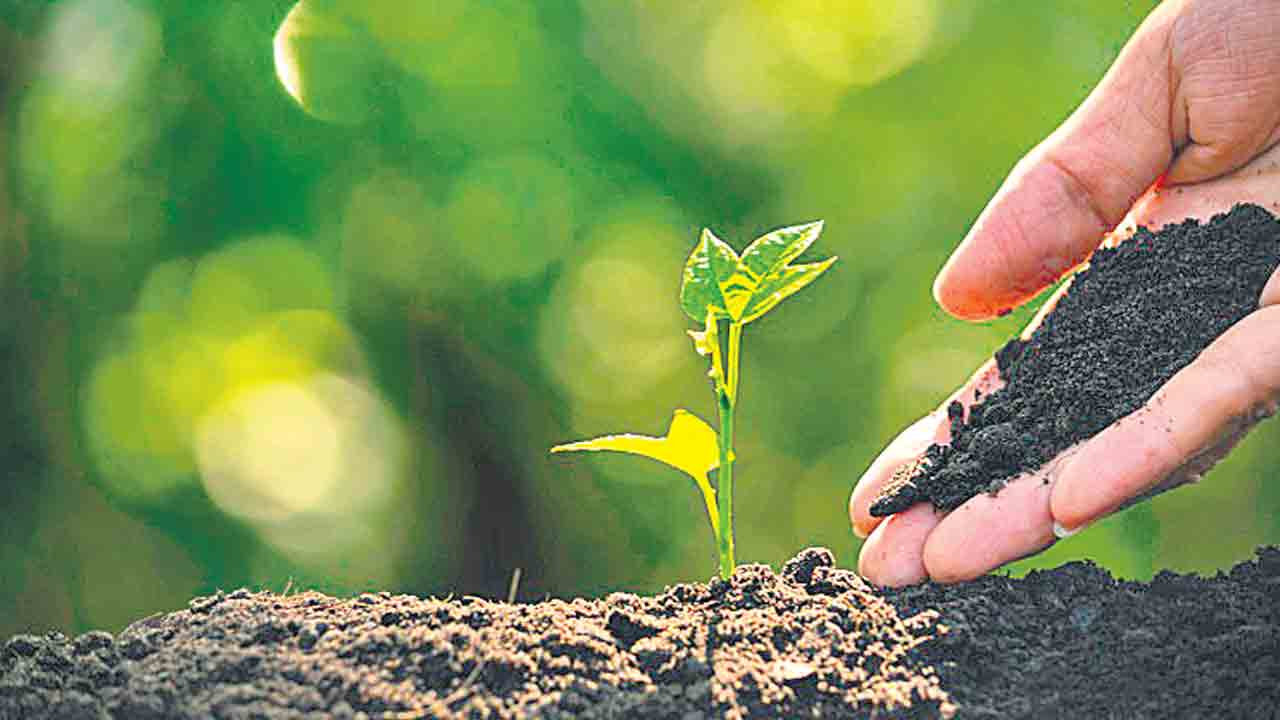 సహన శీలం