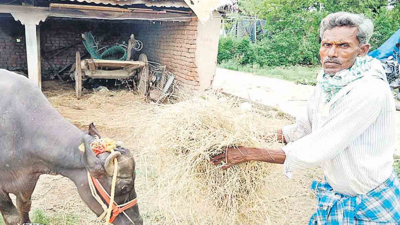 రైతు బంధు సంబురం.. రైతుల ఖాతాల్లోకి పెట్టుబడి సాయం