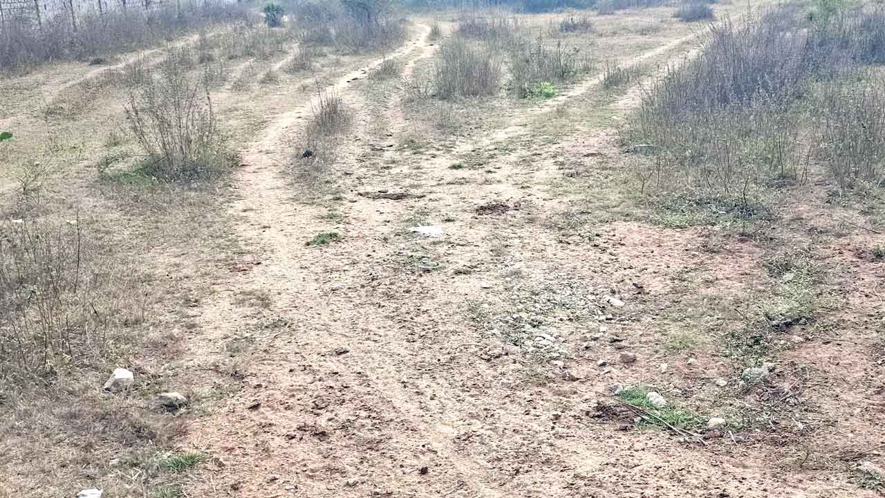 త్వరలో వెజ్‌,నాన్‌ వెజ్‌ మార్కెట్లు