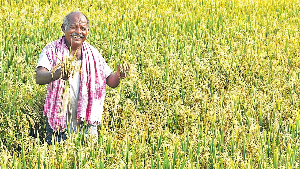 నవ తెలంగాణ