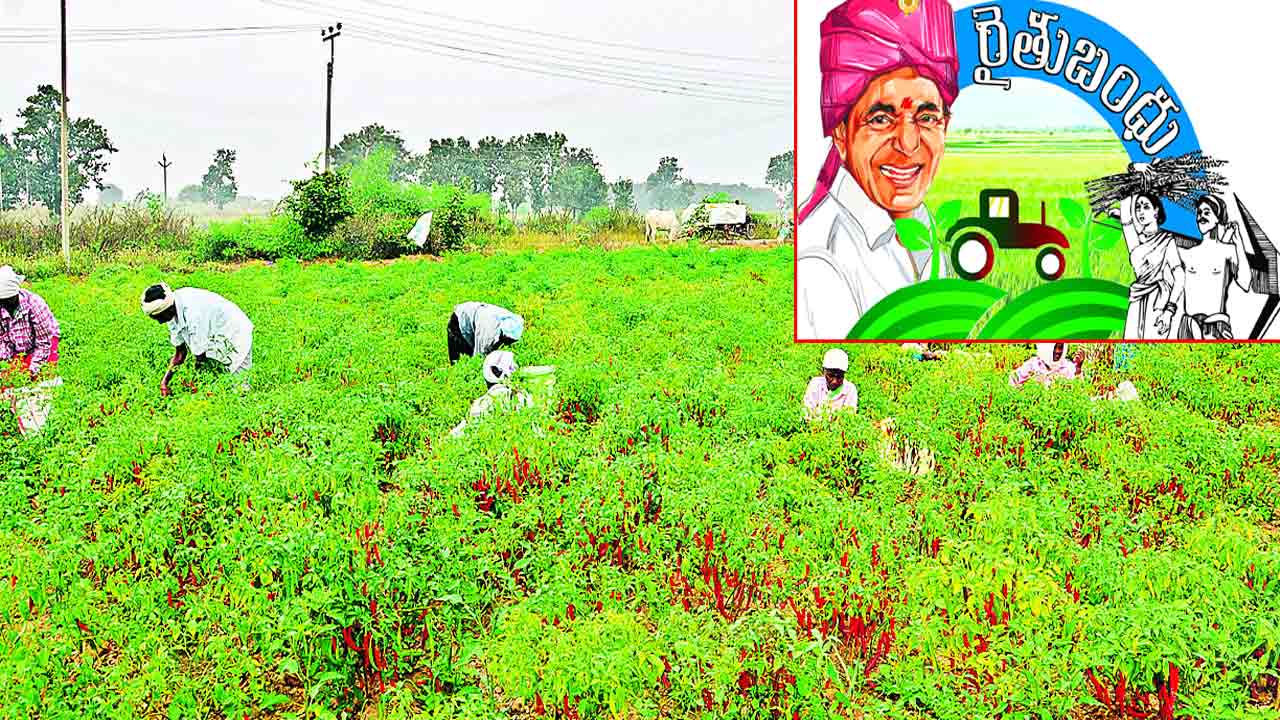 రైతుకు సాయం.. ఉత్సాహంగా ఎవుసం