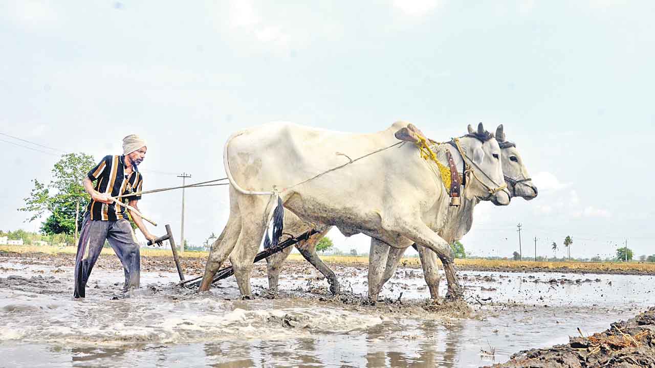 బీమా.. ధీమా!