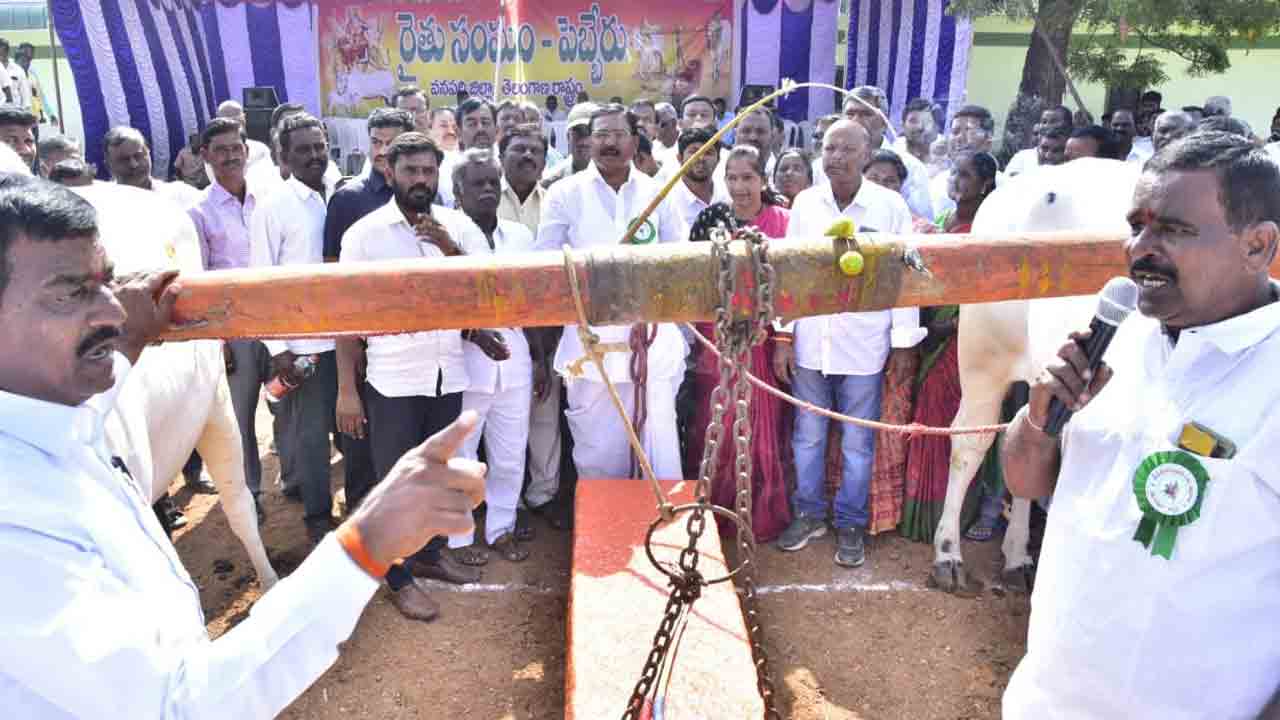 కాడెద్దులు శుభసూచికం