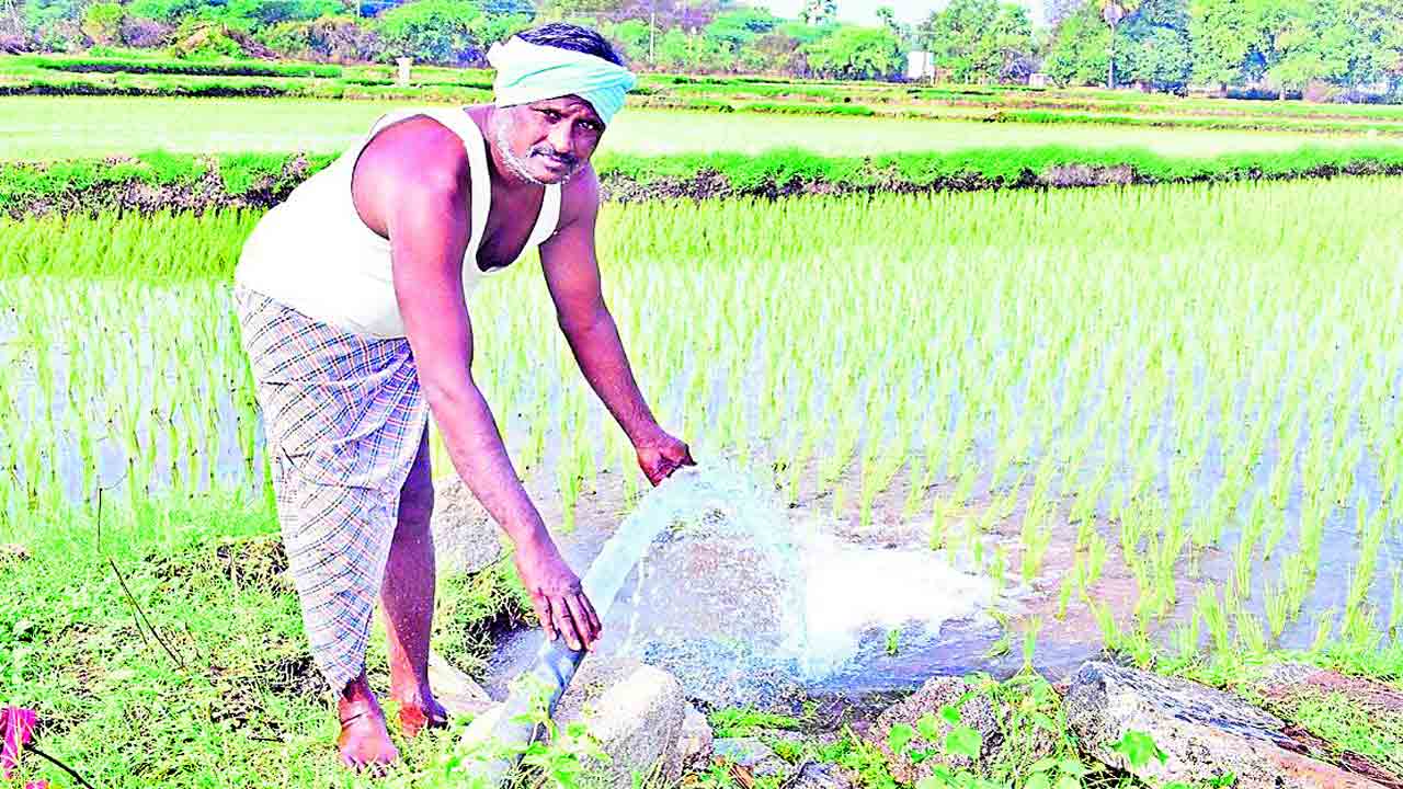 ఆటోకు టాటా.. మళ్లీ పొలం బాట
