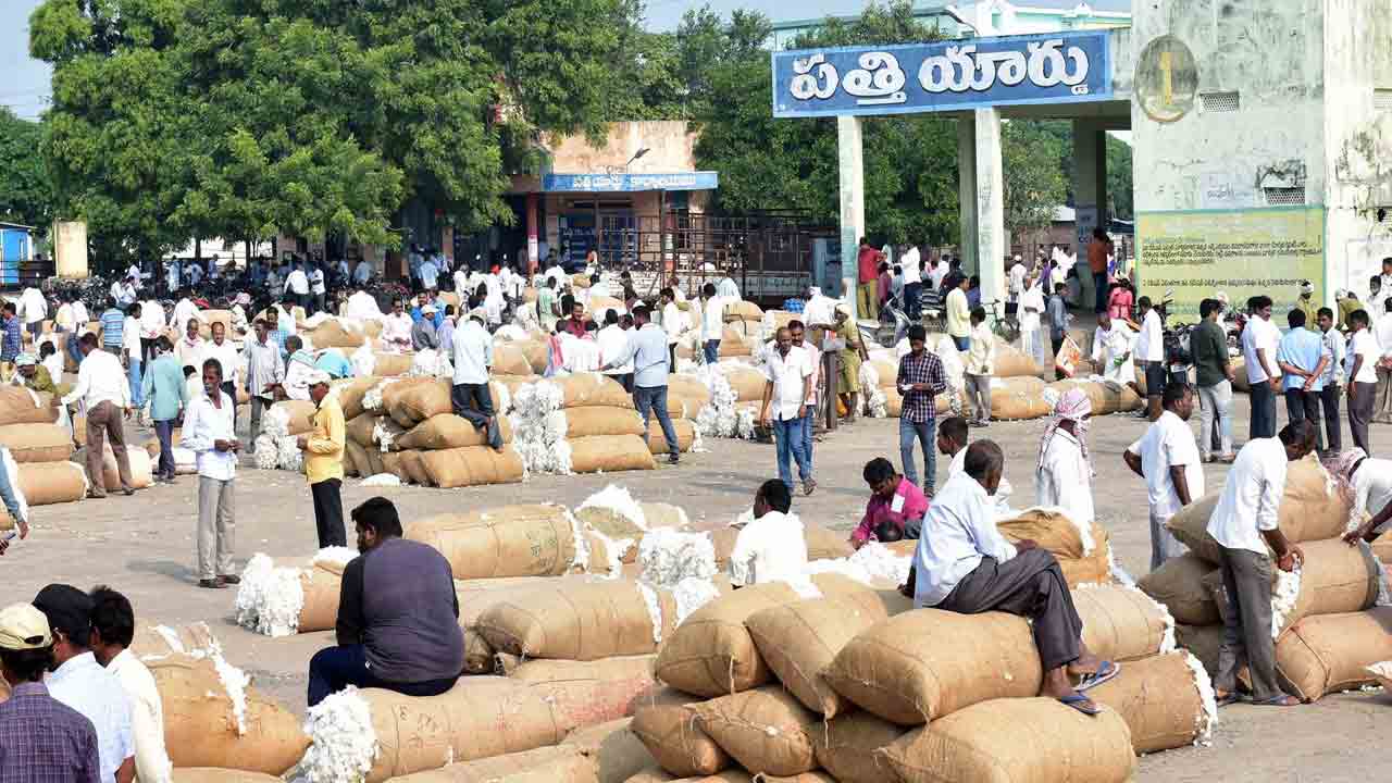 పత్తి క్వింటాల్‌ @ 8,310