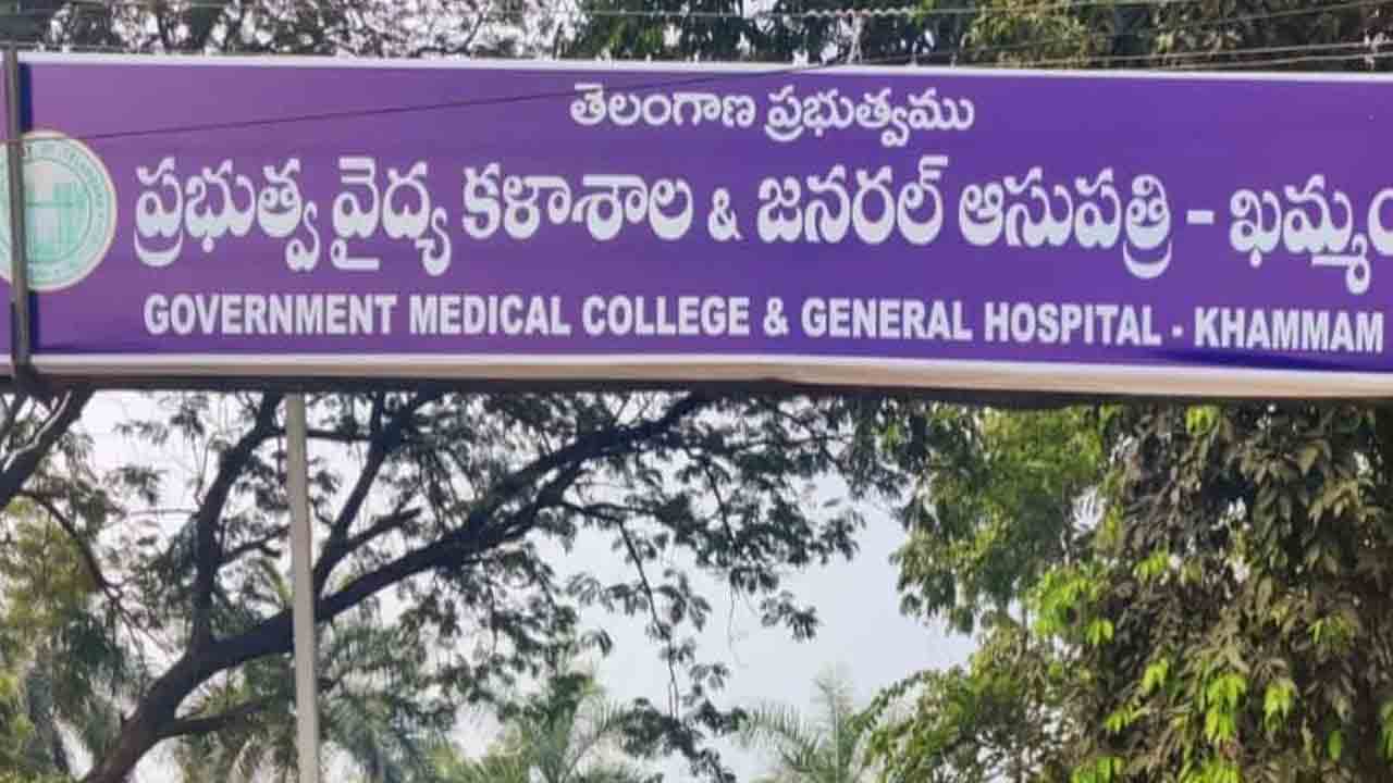 ప్రభుత్వ వైద్య కళాశాలగా పెద్దాసుపత్రి