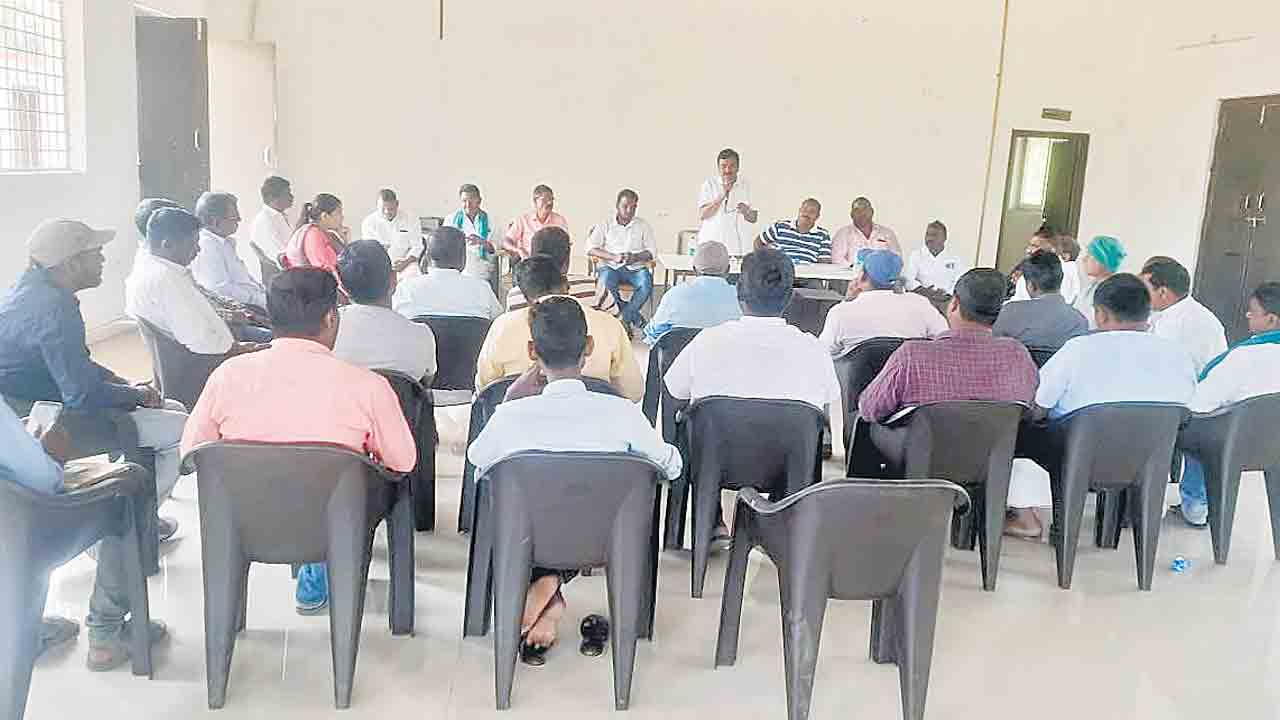 ఆయిల్‌పామ్‌ సాగుతో అధిక లాభాలు