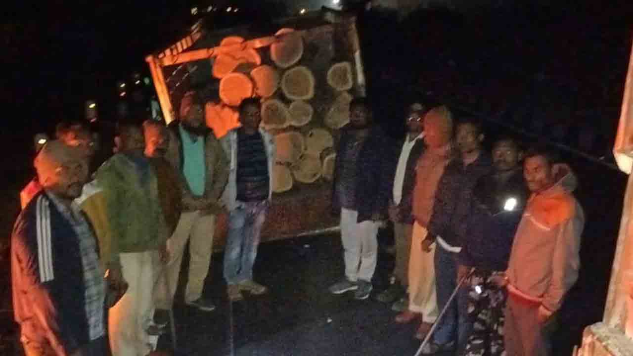 కలప అక్రమంగా తరలిస్తే పీడీయాక్ట్‌