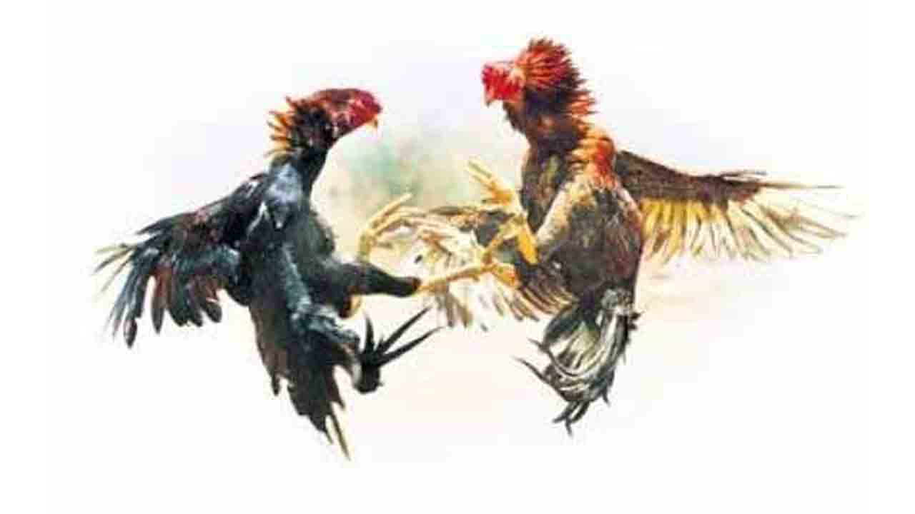 తగ్గేదే లే