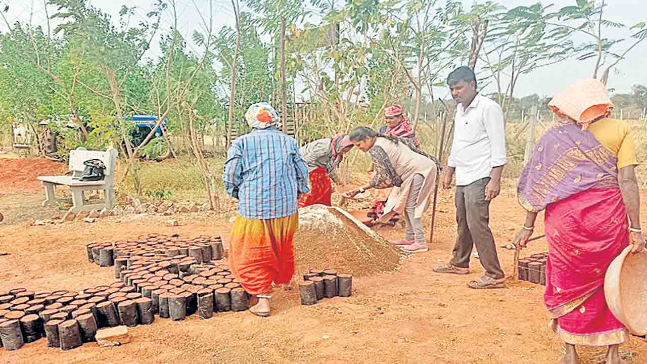 హరితం.. ముమ్మరం