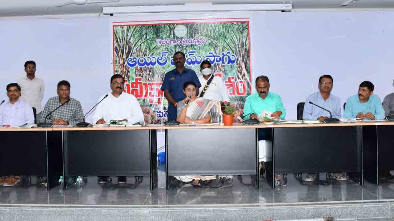 ఆయిల్‌పాం పంటల సాగులో లక్ష్యం పూర్తి