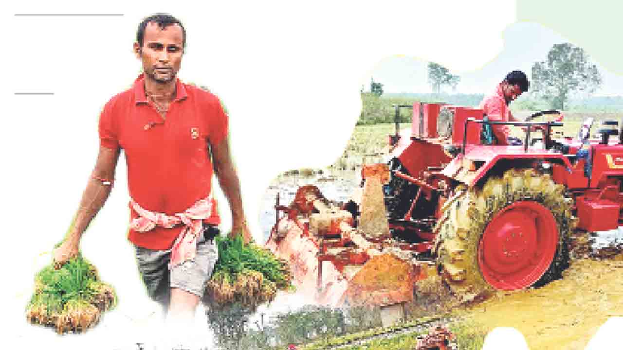 బెంగాలీ కూలీల బెంగ తీరింది.. వలస జీవులను అక్కున చేర్చుకుంటున్న రైతులు