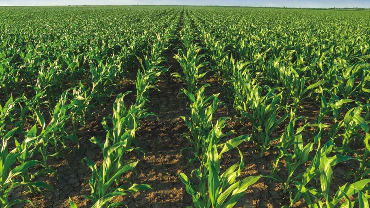 రైతుపై మరింత భారం