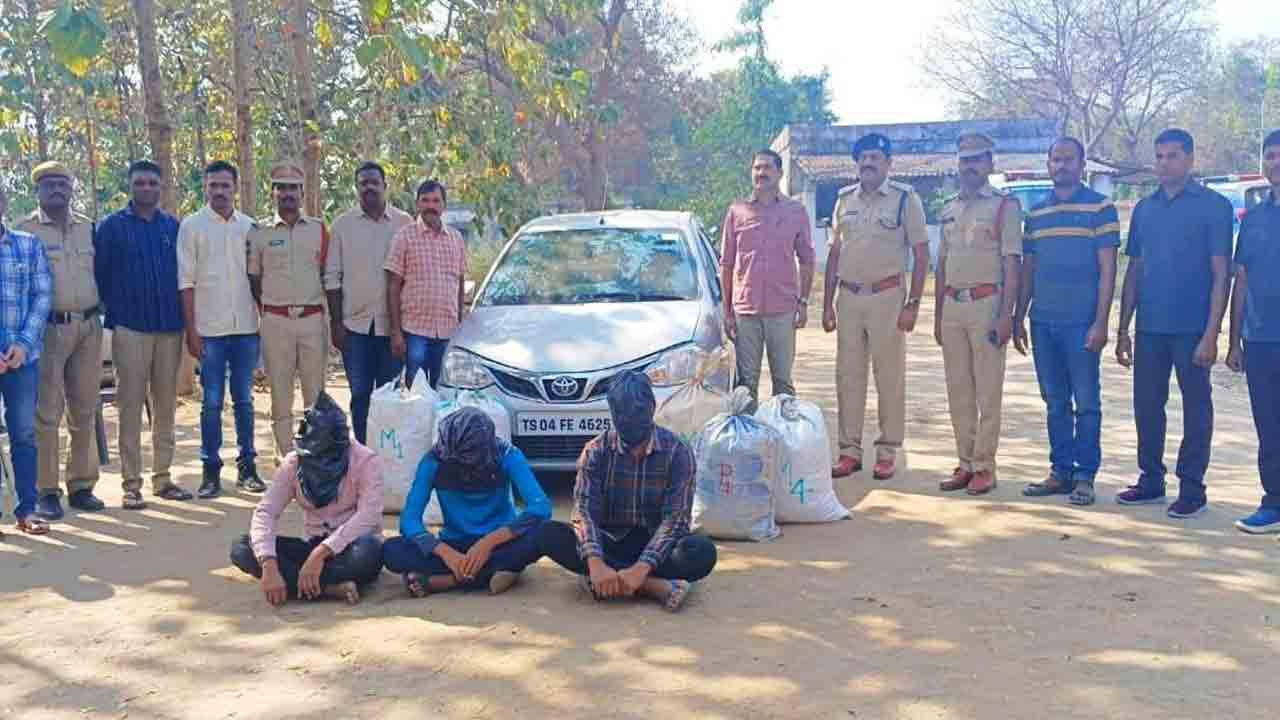 86.52 కిలోల గంజాయి పట్టివేత