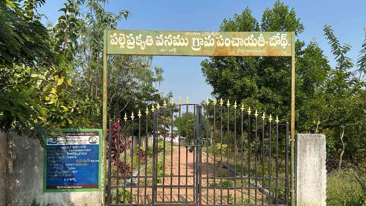 ప్రకృతి వనం.. నిండుగా పచ్చదనం