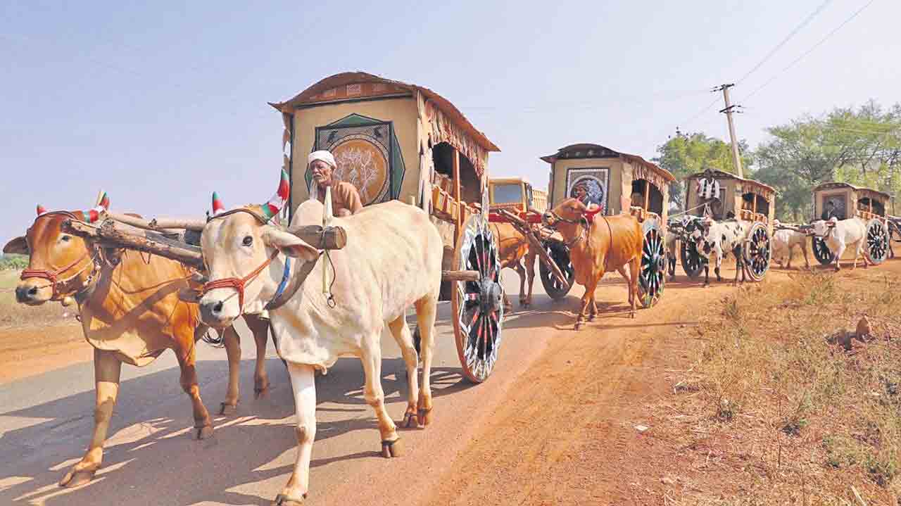 పాత పంటల సంరక్షణే లక్ష్యం