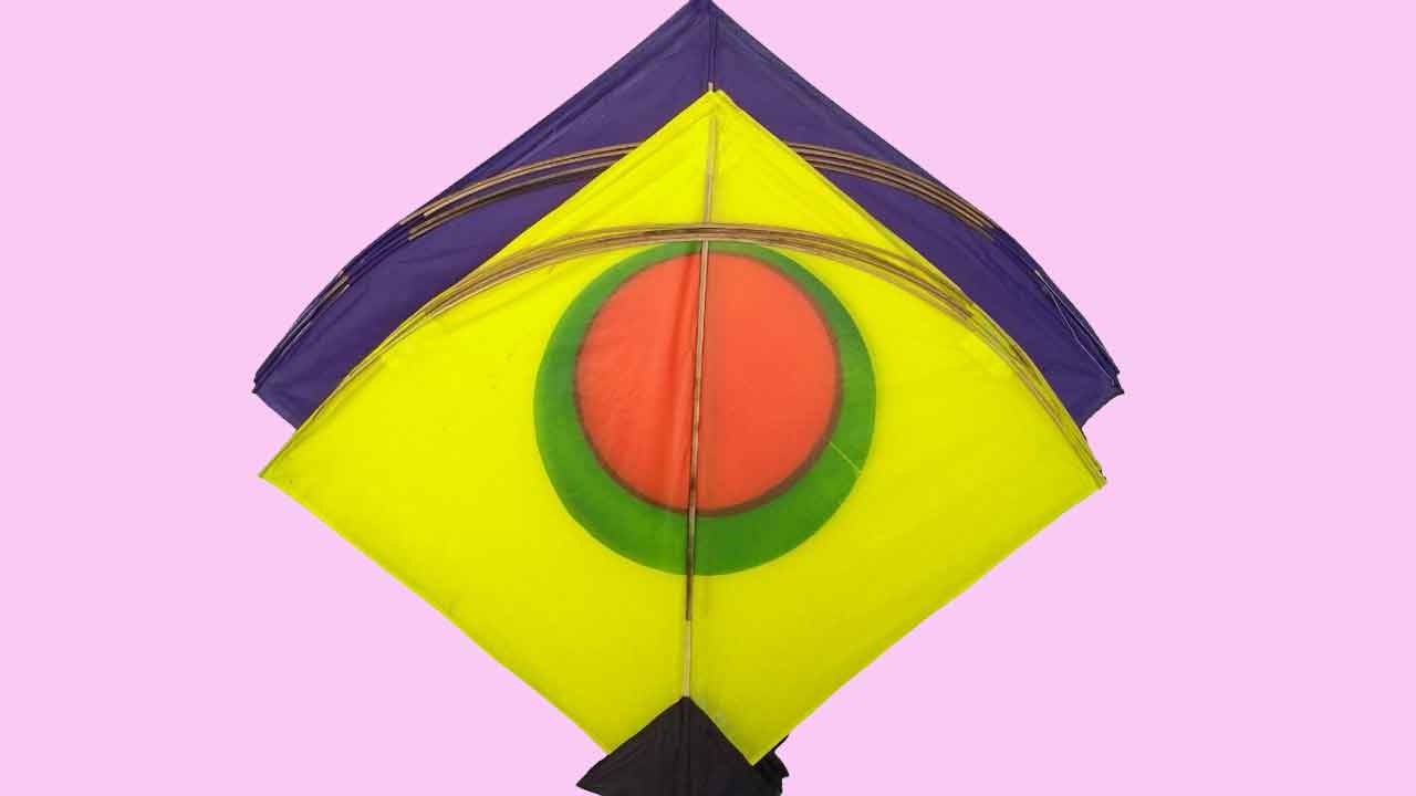 పతంగులు ఎగురేస్తున్నారా.. జరభద్రం