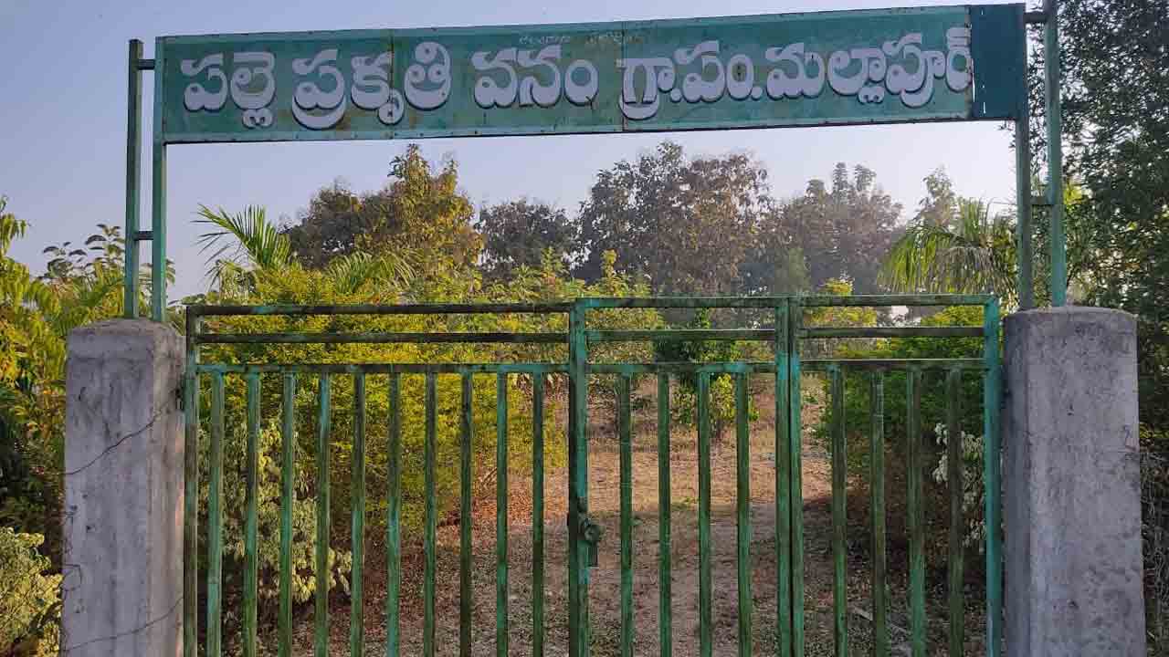 పచ్చదనం.. పరిశుభ్రం