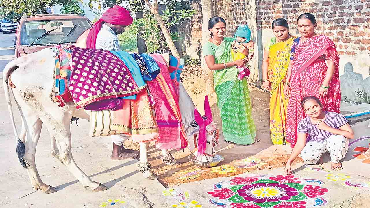 నింగి, నేల రంగులమయం