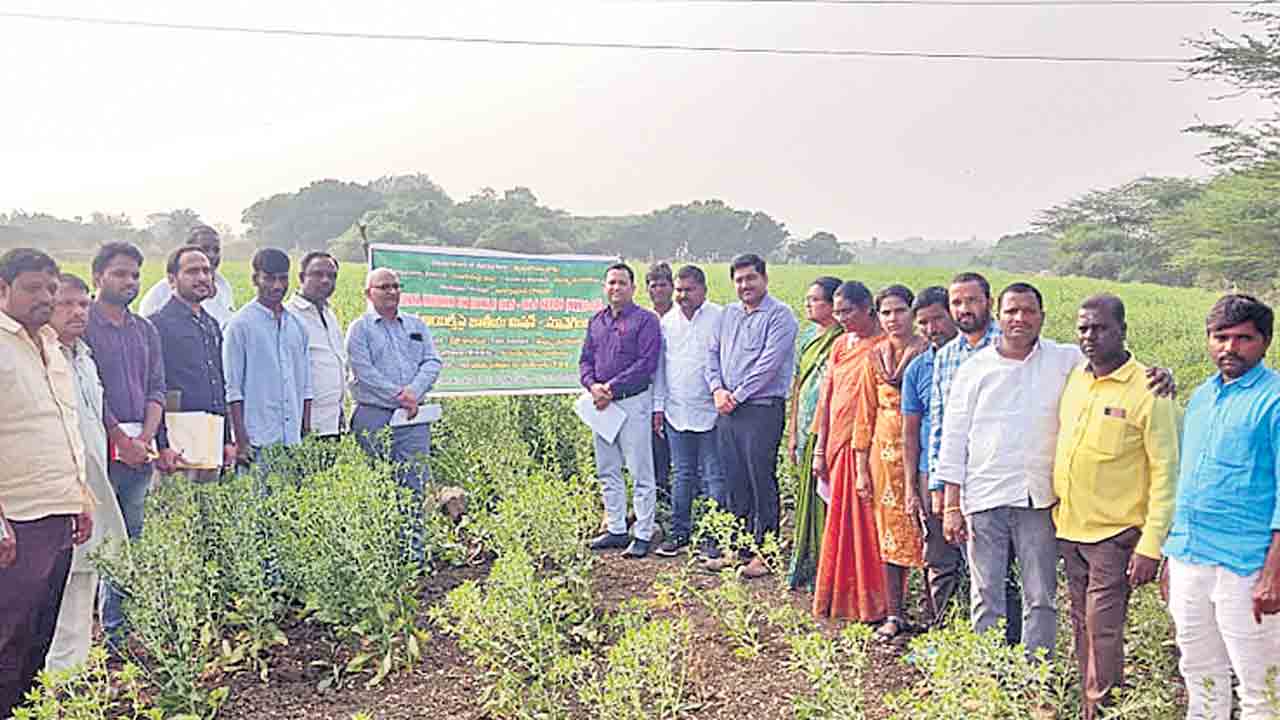 రైతులు అధిక దిగుబడులు సాధించాలి