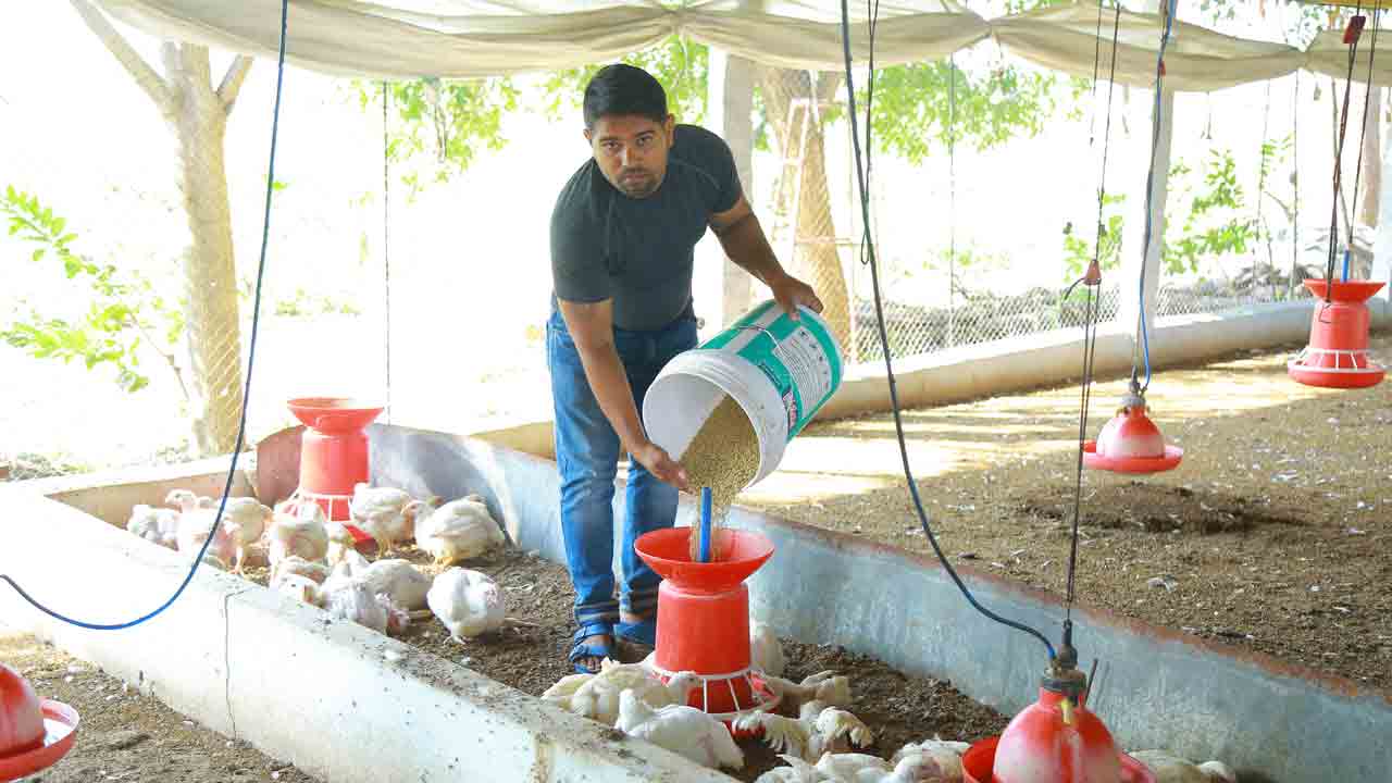 ఫారిన్‌ నుంచి పౌల్ట్రీ వైపు..