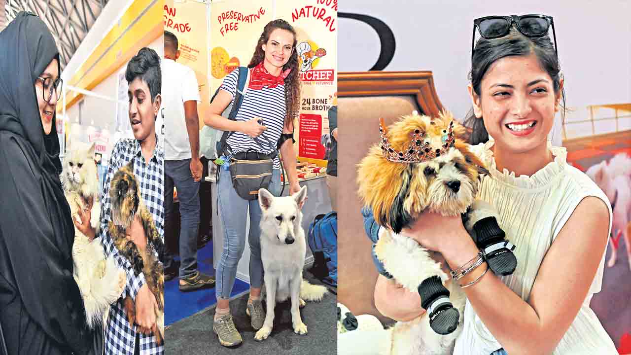 హైటెక్స్‌లో పెట్స్‌సందడి