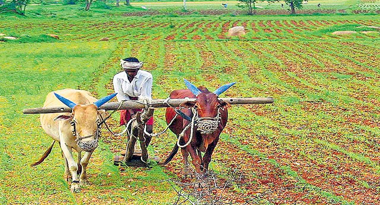 గుండెలో శంఖువై…