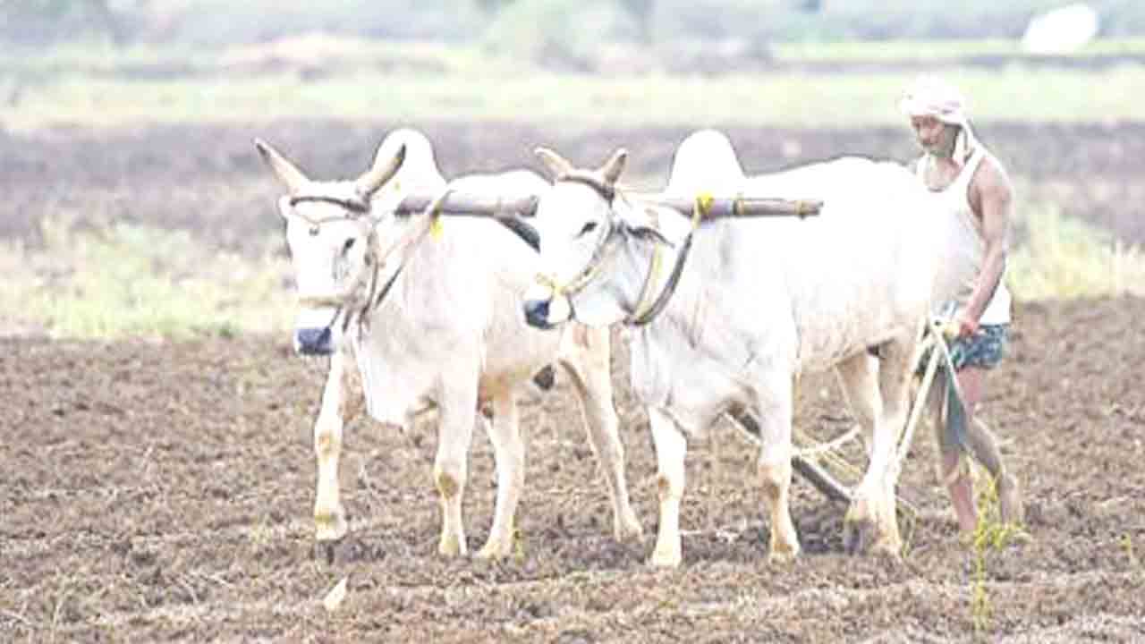 రంది తీరంగ.. రైతులు మురవంగ..