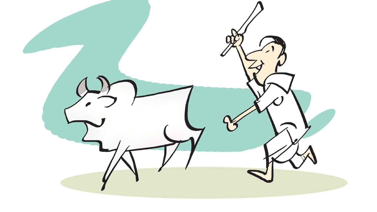 పలుకుబడులు – ఉర్కుర్కి పసులుగాస్తే.. పొద్దుగూకదు