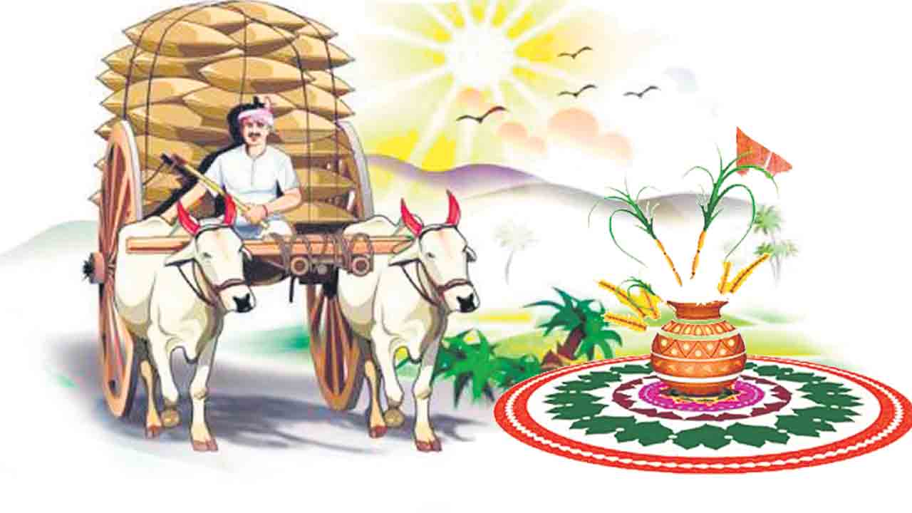 సంబురాల సంక్రాంతి