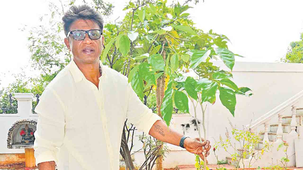 వృక్షవేదం..మొక్కల నినాదం