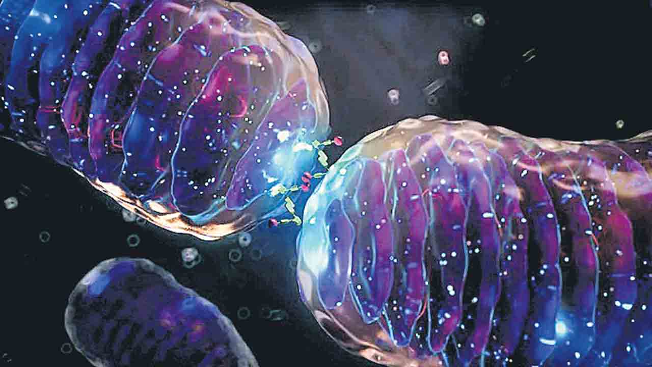 సౌరశక్తితో యవ్వనం!