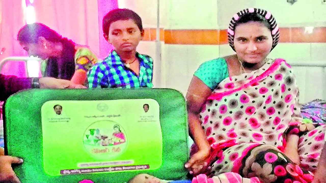 వర్ధన్నపేట సీహెచ్‌సీ ప్రసవాల్లో టాప్‌